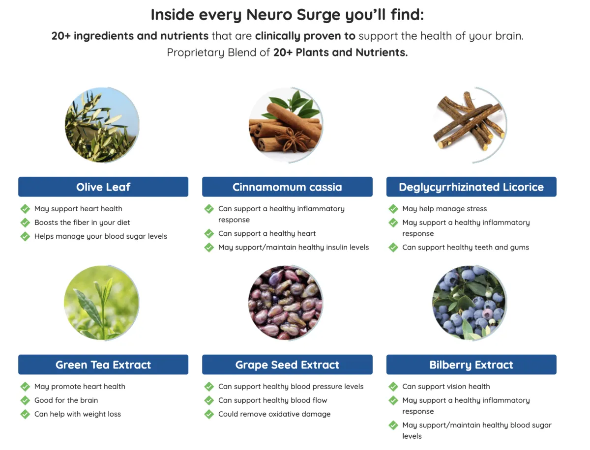 nerve fresh buy